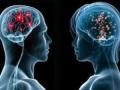دراسة: مخ المرأة أصغر من الرجل ولكنه أكثر كفائة
