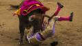 أسبانيا : إلغاء مهرجان العاصمة بعد تغلب الثيران على مصارعيها 