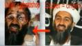 غواص أمريكي يصر على البحث عن جثة بن لادن حتى إذا منعه أوباما