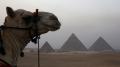 أحجية فرعونية استعصت لأكثر من قرن