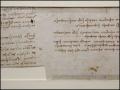 اكتشاف مخطوطة مشفرة لدافنشي
